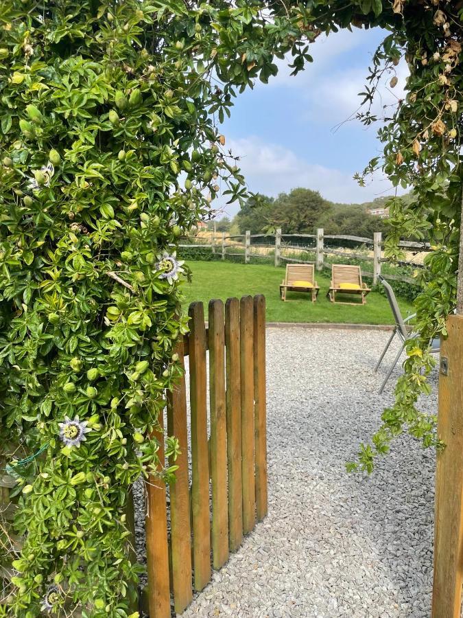 Holmdale Holiday Cottages Rye Buitenkant foto